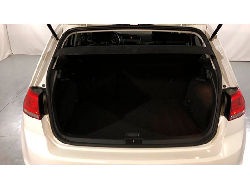 Volkswagen Golf 1.6TDI 110CV BUSINESS NAVI BUSINESS NAVI Volkswagen Golf 1.6TDI 110CV BUSINESS NAVI BUSINESS NAVI